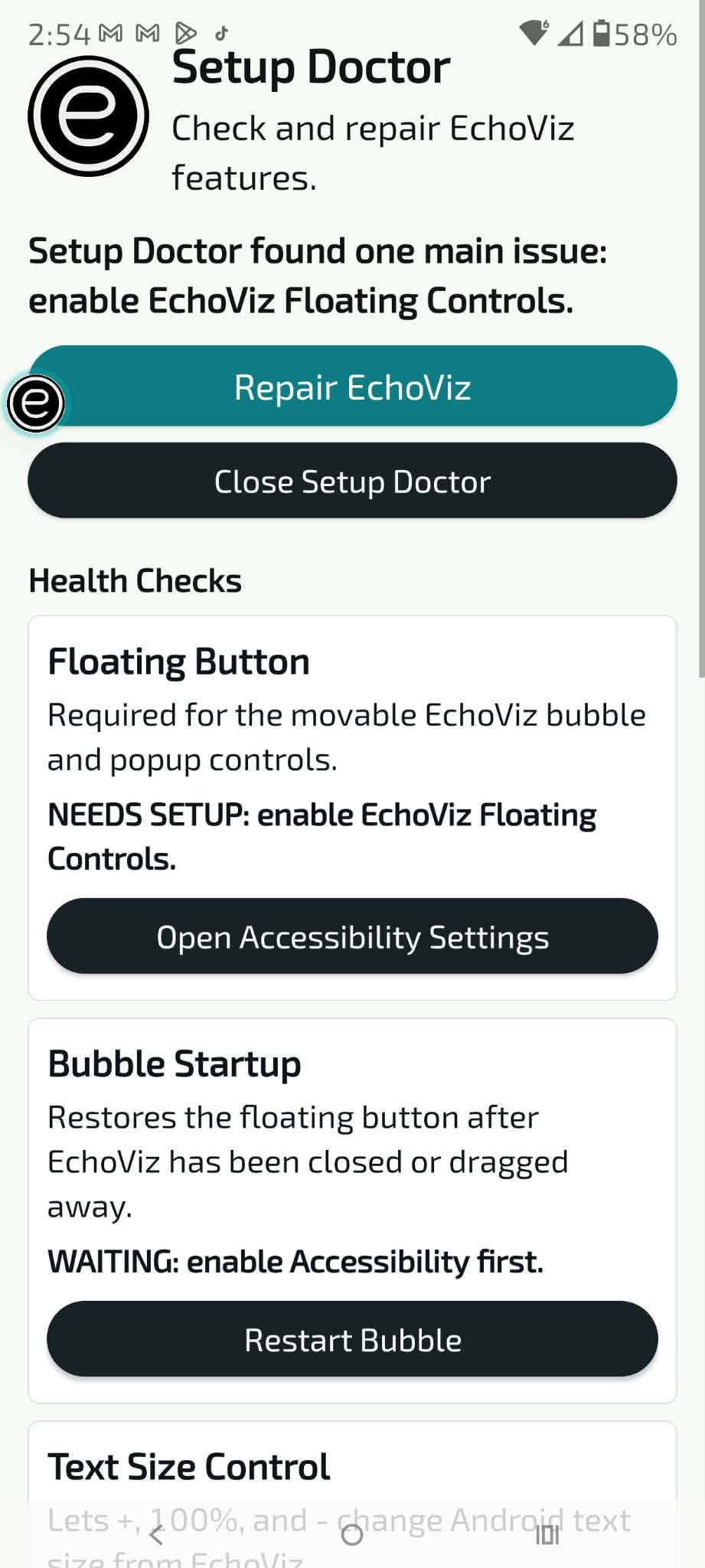 EchoViz Setup Doctor screen showing accessibility health checks